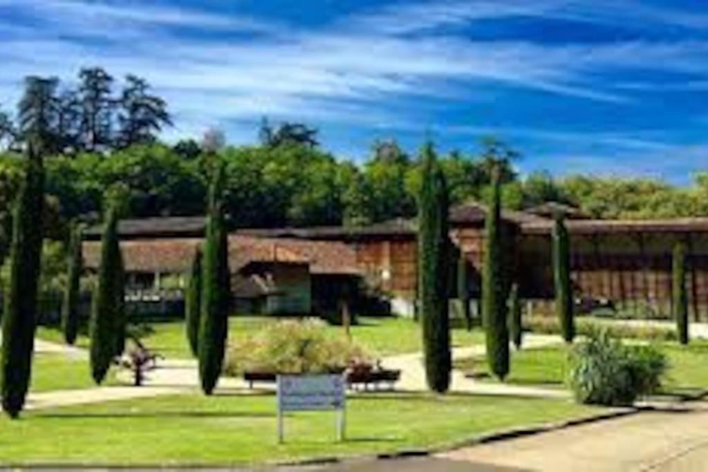 Studio 2 Lits Barbotan Les Thermes Cazaubon Exteriör bild